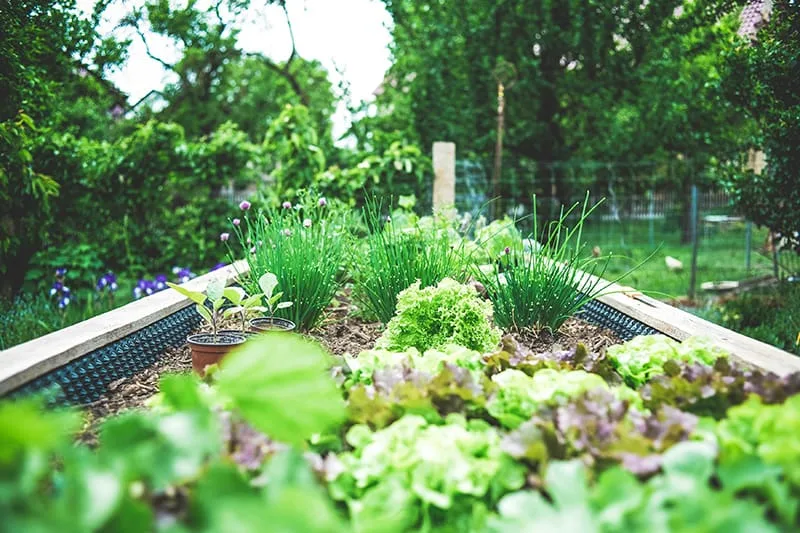 spring_gardening_2026